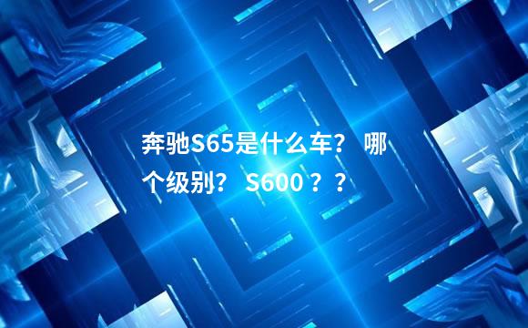 奔驰S65是什么车？ 哪个级别？ S600 ？？